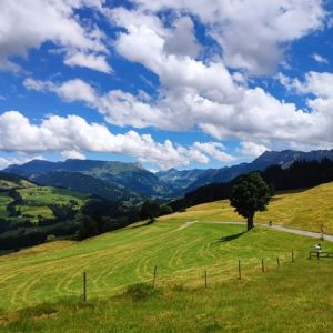 fruehlingsausfahrt 1 20220703
